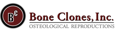 Bone Clones Inc